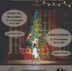 📢✨🎄Activitats de Nadal a la nostra escola: